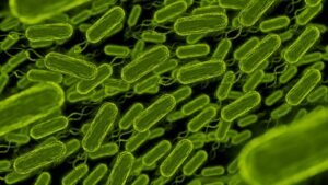 La Relación entre E. coli y el Cáncer de Colon